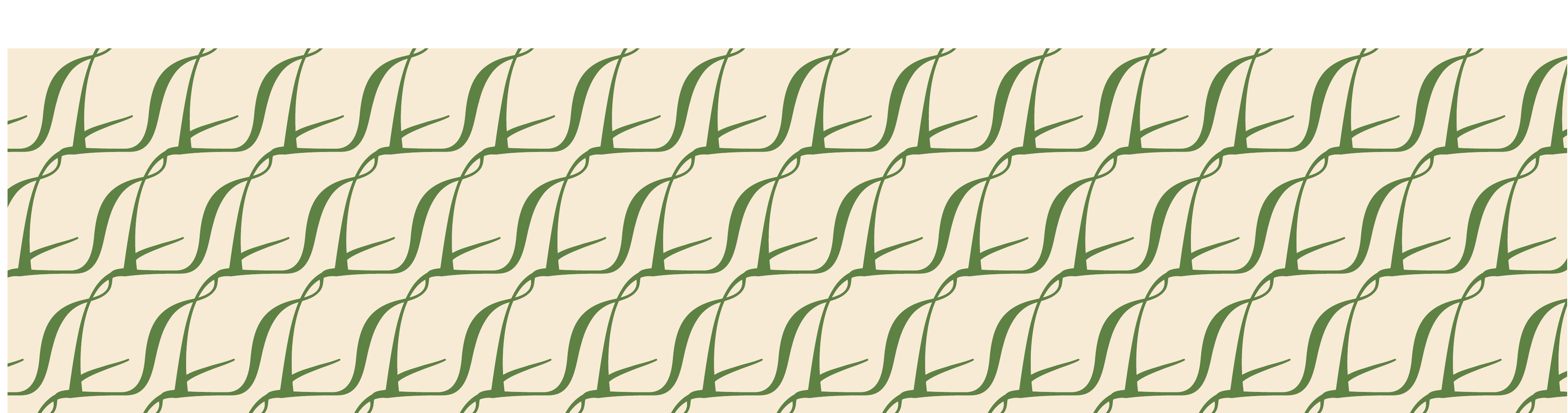03_参考与资产/01_品牌固定资产/packaging/packaging-tissue-shoe-line-art-reference.png520